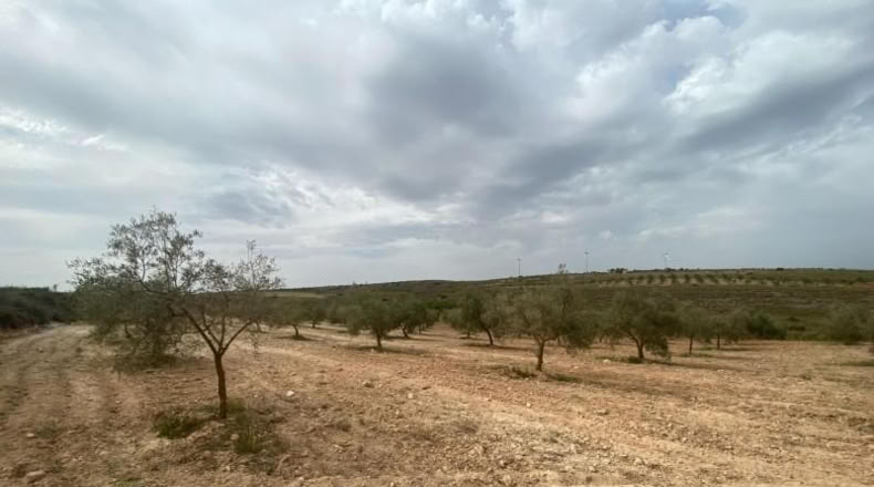 Cordova - Lucena - 8600m2