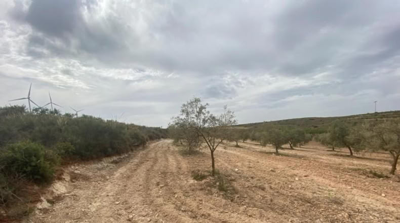 Cordova - Lucena - 8600m2