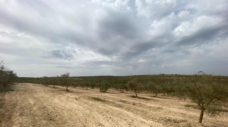 Cordova - Lucena - 8600m2