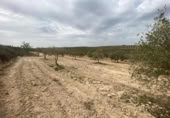Xalet independent amb terreny en venda a la España, Lucena, ref.: TR288139 foto