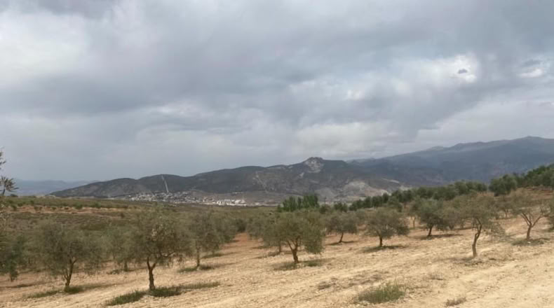 Cordova - Lucena - 8600m2