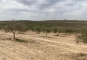 Xalet independent amb terreny en venda a la España, Lucena, ref.: TR288139 foto