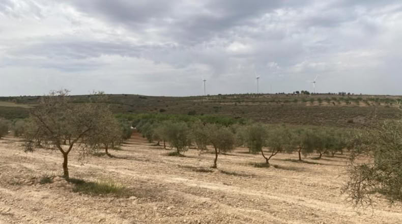 Cordova - Lucena - 8600m2