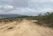 Xalet independent amb terreny en venda a la España, Lucena, ref.: TR288139 foto