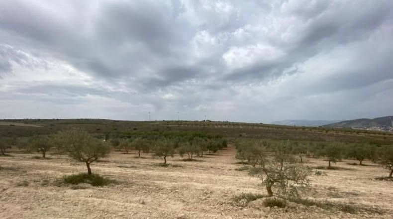 Cordova - Lucena - 8600m2