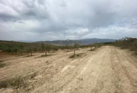 Foto 16