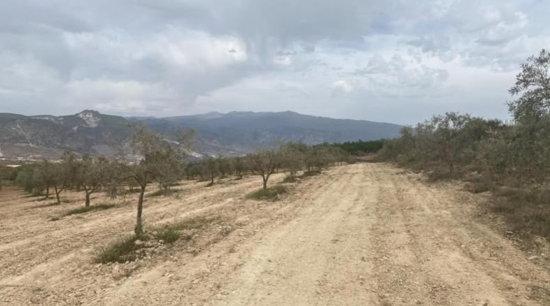 Cordova - Lucena - 8600m2