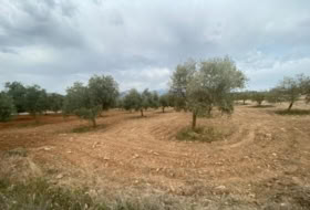 Foto 18