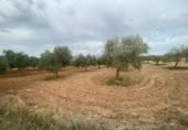 Xalet independent amb terreny en venda a la España, Lucena, ref.: TR288139 foto