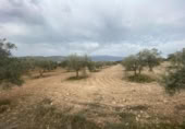Xalet independent amb terreny en venda a la España, Lucena, ref.: TR288139 foto