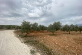 Foto 19