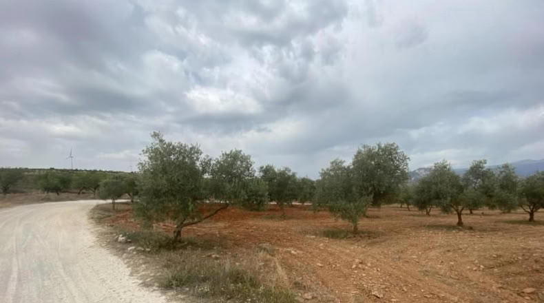 Cordova - Lucena - 8600m2