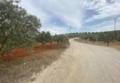 Xalet independent amb terreny en venda a la España, Lucena, ref.: TR288139 foto