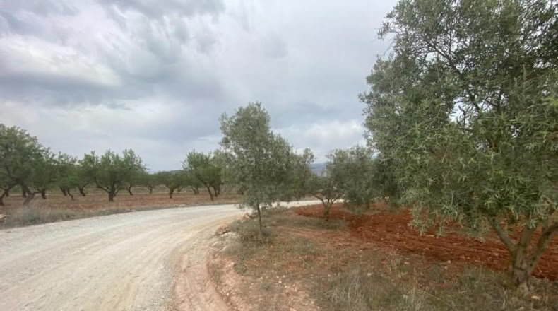 Cordova - Lucena - 8600m2