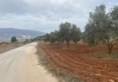 Xalet independent amb terreny en venda a la España, Lucena, ref.: TR288139 foto