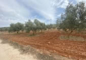 Xalet independent amb terreny en venda a la España, Lucena, ref.: TR288139 foto