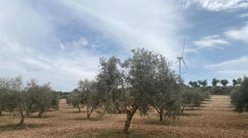 Cordova - Lucena - 8600m2