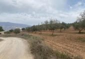 Xalet independent amb terreny en venda a la España, Lucena, ref.: TR288139 foto