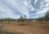 Xalet independent amb terreny en venda a la España, Lucena, ref.: TR288139 foto