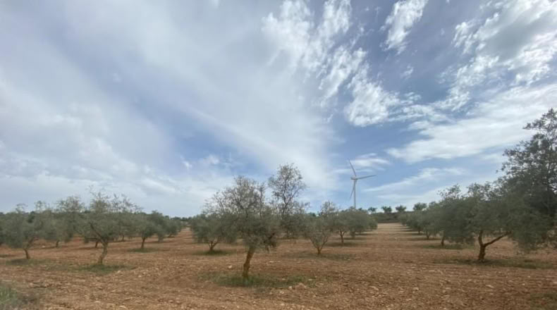Cordova - Lucena - 8600m2