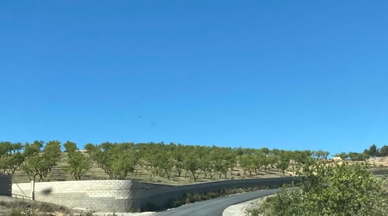 Cordova - Lucena - 8600m2