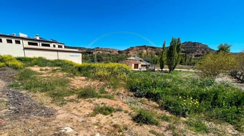 Cuenca - Cañaveras - 650m2