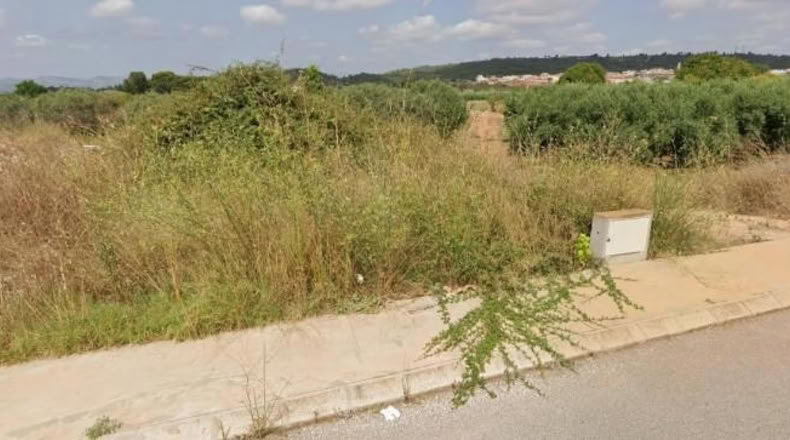 Castellón - Vall d'Alba - 227m2