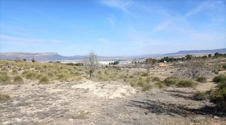 Albacete - Almansa - 15604m2