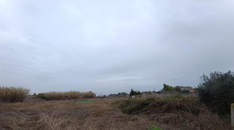 Murcia - Molina de Segura - 2200m2