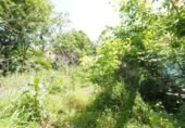 Sòl urbà en venda a la España, Capellades, ref.: TR282656 foto