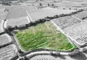 Terreny no urbanitzable en venda a la España, l'Arboç, ref.: TR353483 foto