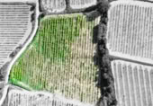 Terreny no urbanitzable en venda a la España, l'Arboç, ref.: TR353483 foto