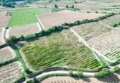 Terreny no urbanitzable en venda a la España, l'Arboç, ref.: TR353483 foto