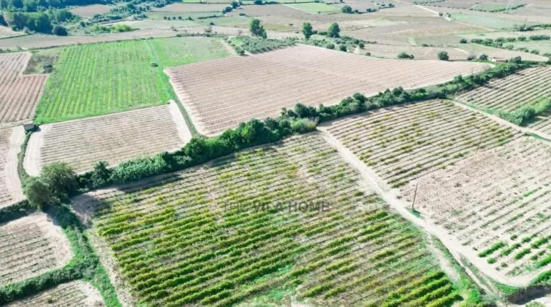 Tarragona - l'Arboç - 10396m2