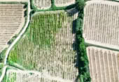 Terreny no urbanitzable en venda a la España, l'Arboç, ref.: TR353483 foto