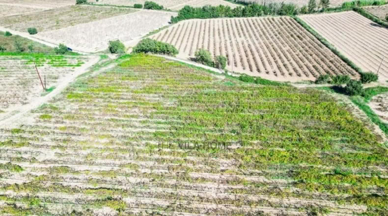 Tarragona - l'Arboç - 10396m2