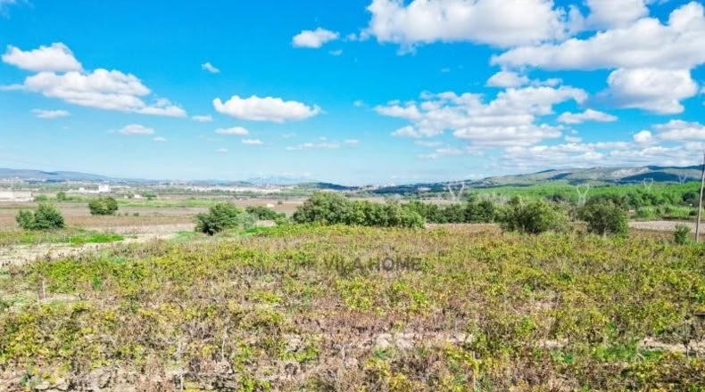 Tarragona - l'Arboç - 10396m2