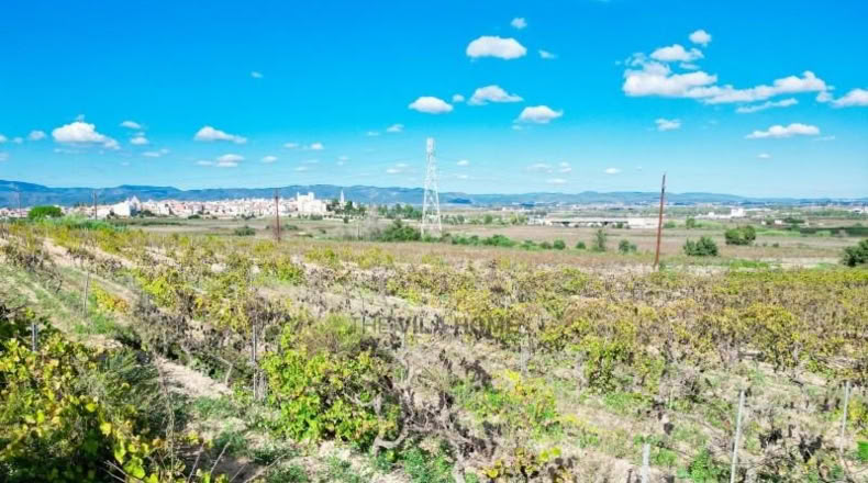 Tarragona - l'Arboç - 10396m2