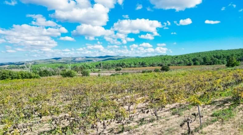 Tarragona - l'Arboç - 10396m2