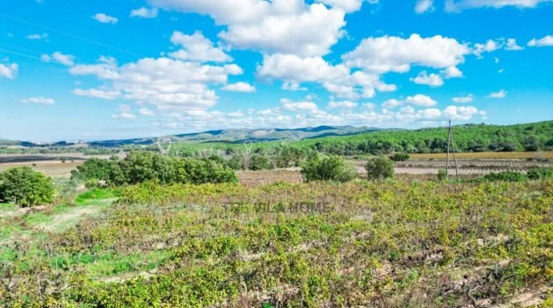 Tarragona - l'Arboç - 10396m2