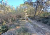 Non-developable land for sale on España, La Llosa de Ranes, ref: TR222279 photo