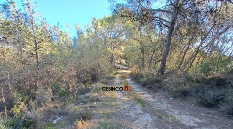 Valencia - la Llosa de Ranes - 8536m2