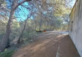 Non-developable land for sale on España, La Llosa de Ranes, ref: TR222279 photo