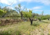 Terreno no urbanizable en venta en la España, Bèlgida, ref: TR243834 foto