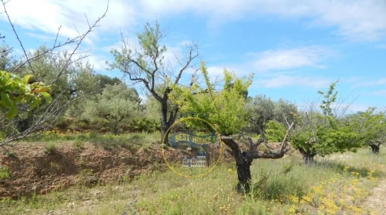 Valencia - Bélgida - 7m2
