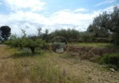 Terreno no urbanizable en venta en la España, Bèlgida, ref: TR243834 foto