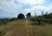 Terreno no urbanizable en venta en la España, Bèlgida, ref: TR243834 foto