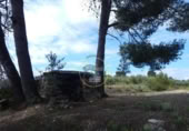 Terreno no urbanizable en venta en la España, Bèlgida, ref: TR243834 foto