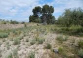 Terreno no urbanizable en venta en la España, Bèlgida, ref: TR243834 foto
