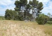 Terreno no urbanizable en venta en la España, Bèlgida, ref: TR243834 foto